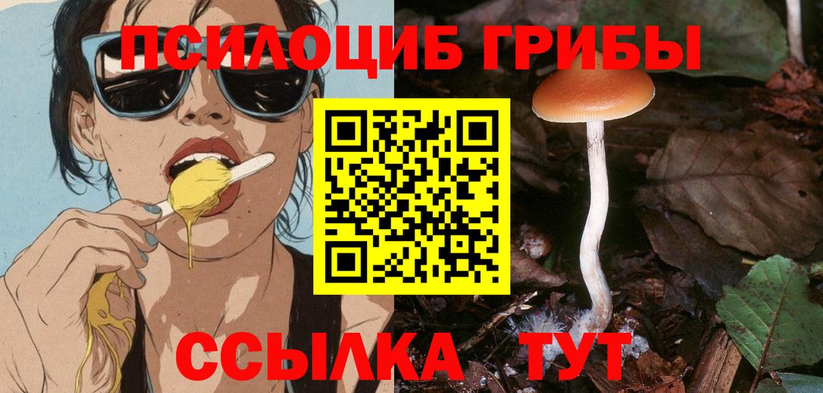 Тавда  Псилоцибиновые грибы Psilocybine cubensis  Вход с VPN  цена наркотик  Псилоцибиновые грибы MAGIC MUSHROOMS 